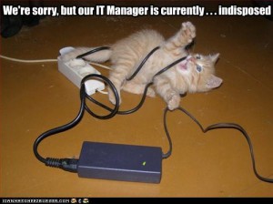 We're sorry, but our IT manager is currently...indisposed